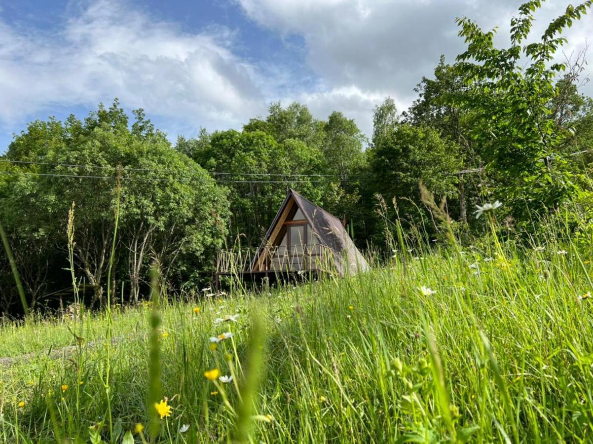 Glamping Wolf Mount Villa Margahovit Oda fotoğraf