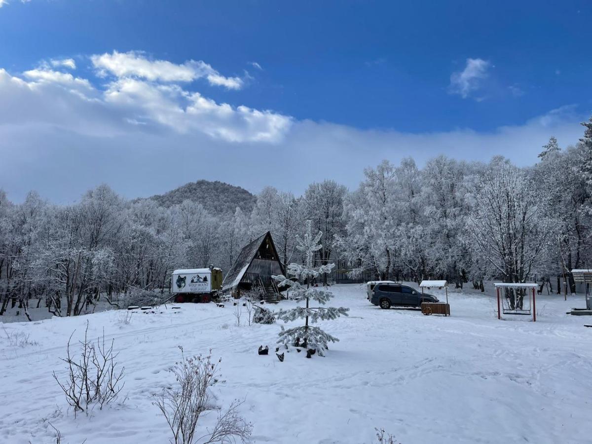 Glamping Wolf Mount Villa Margahovit Dış mekan fotoğraf