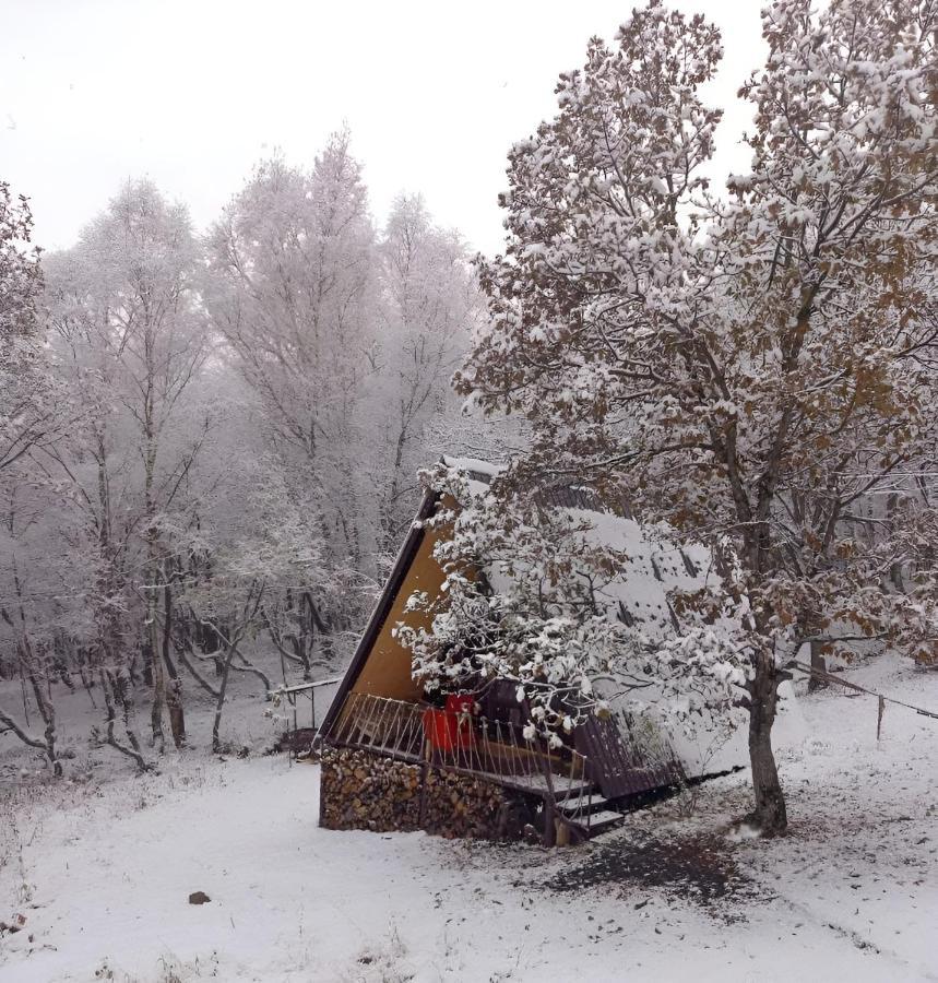 Glamping Wolf Mount Villa Margahovit Dış mekan fotoğraf